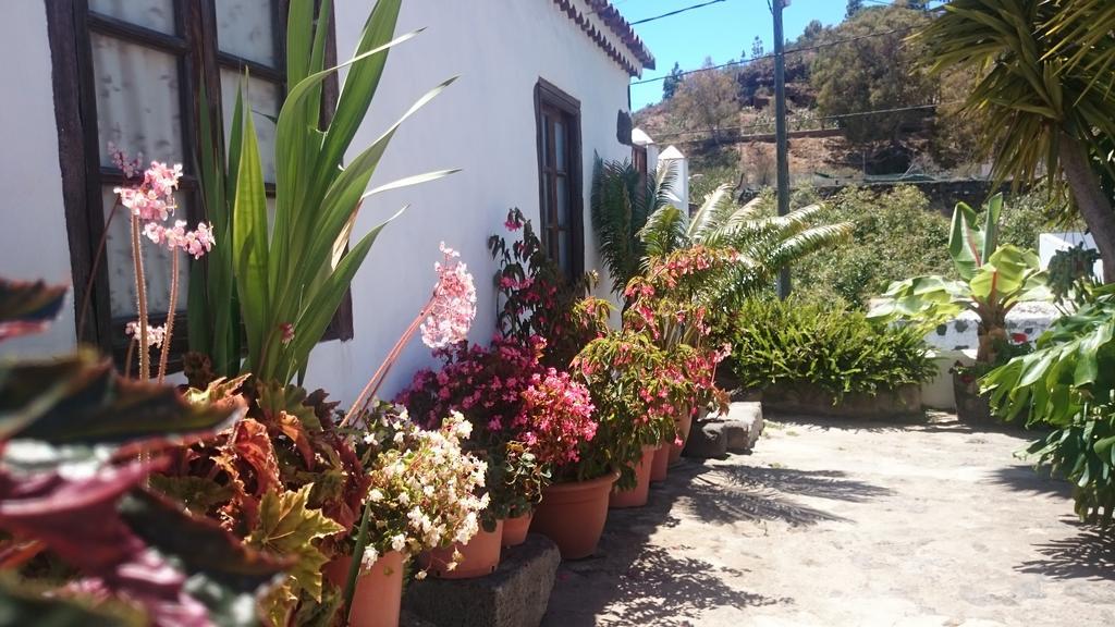 Casitas La Montanita Guest House El Paso Exterior foto